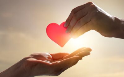 All You Need Is Love